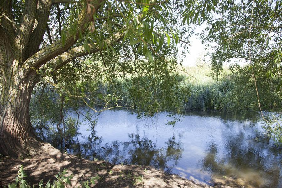 Abbey Farm Glamping & Cottage Thame Zimmer foto